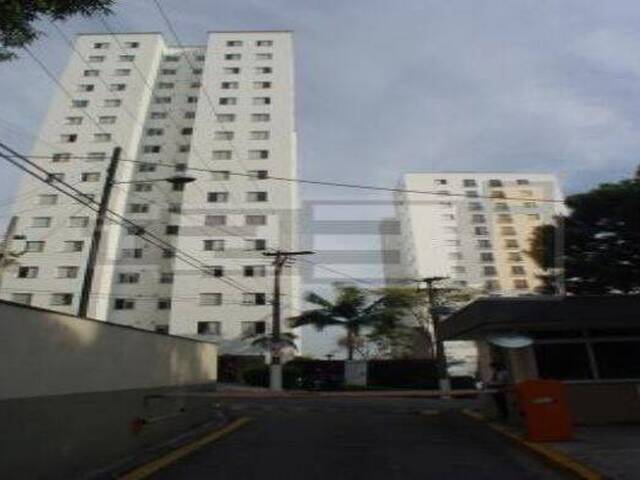 Casa para Locação em São Paulo - 3