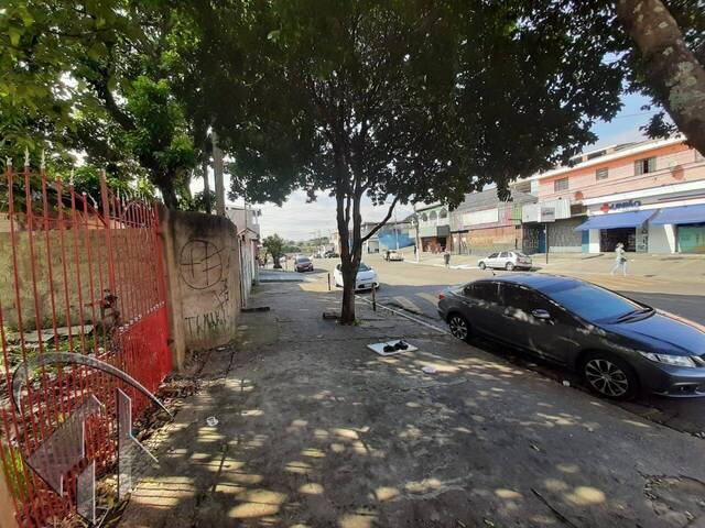 #6360 - Terreno para Venda em Guarulhos - SP - 1