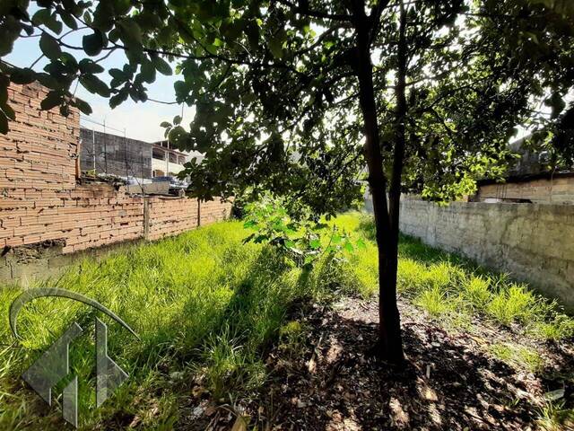 #6360 - Terreno para Venda em Guarulhos - SP - 2