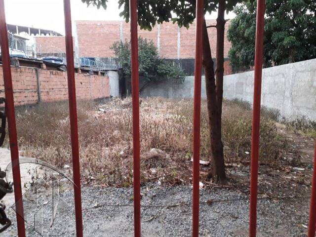 Terreno para Venda em Guarulhos - 5