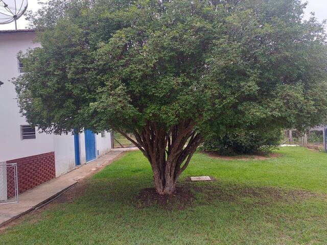 Sítio para Venda em Tatuí - 4