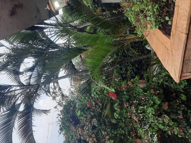 Sobrado para Venda em São Paulo - 5